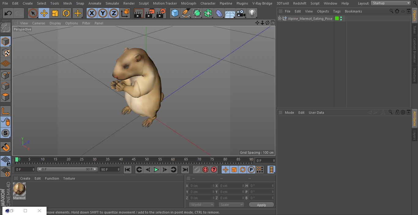 3D model Alpine Marmot Eating Pose