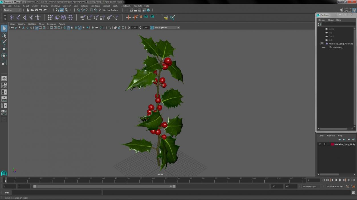 3D Mistletoe Sprig Holly