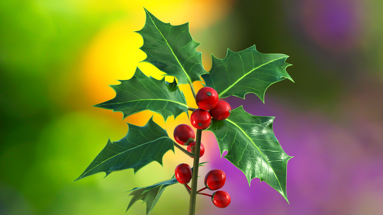 3D Mistletoe Sprig Holly