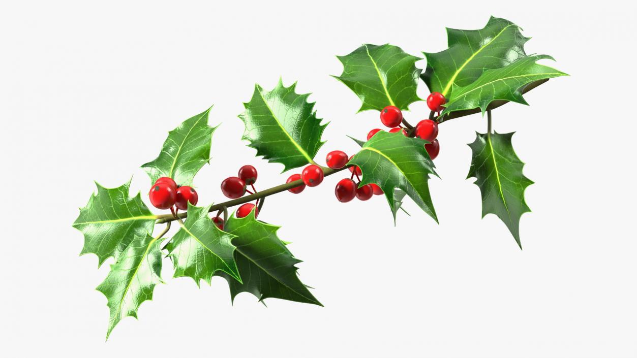 3D Mistletoe Sprig Holly