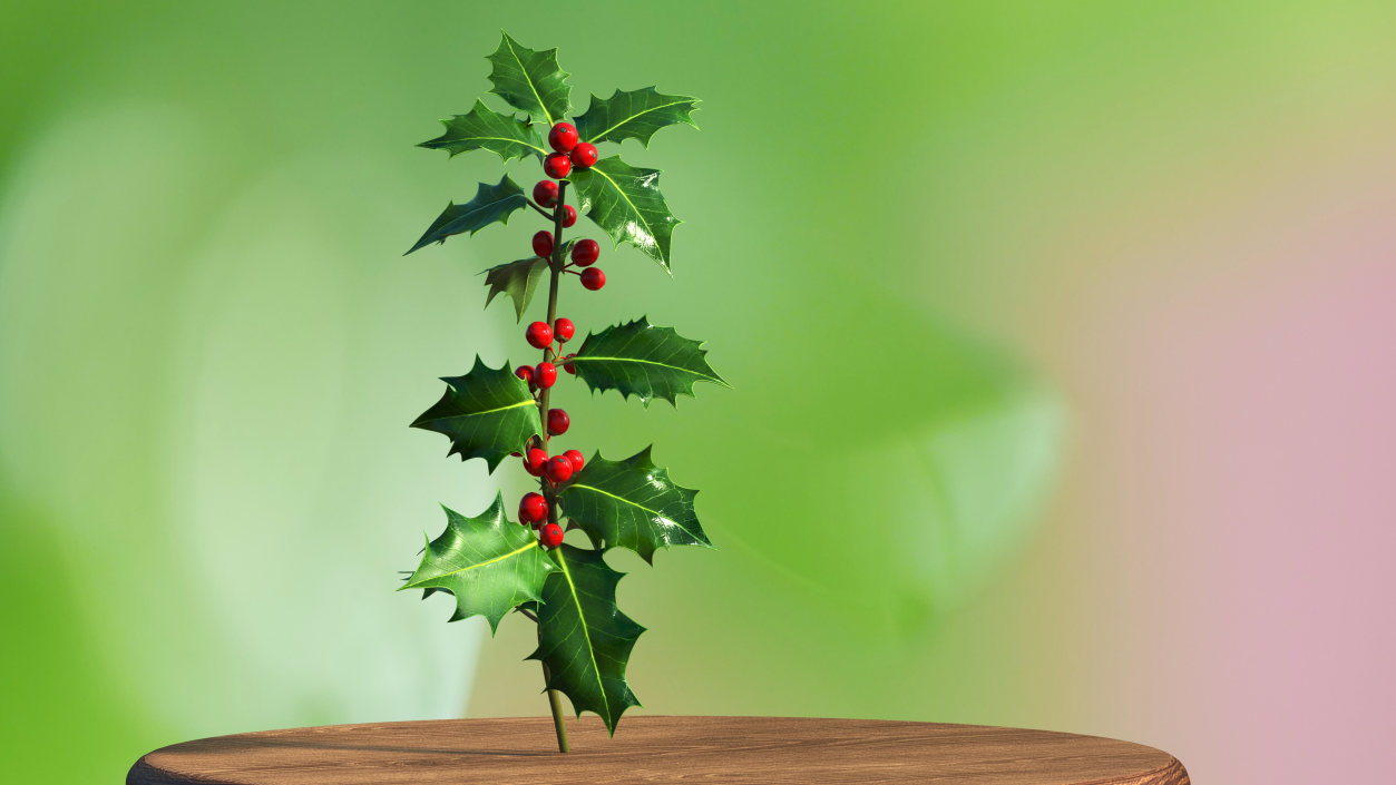 3D Mistletoe Sprig Holly