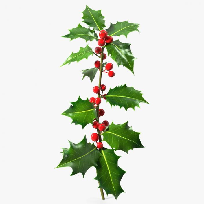 3D Mistletoe Sprig Holly