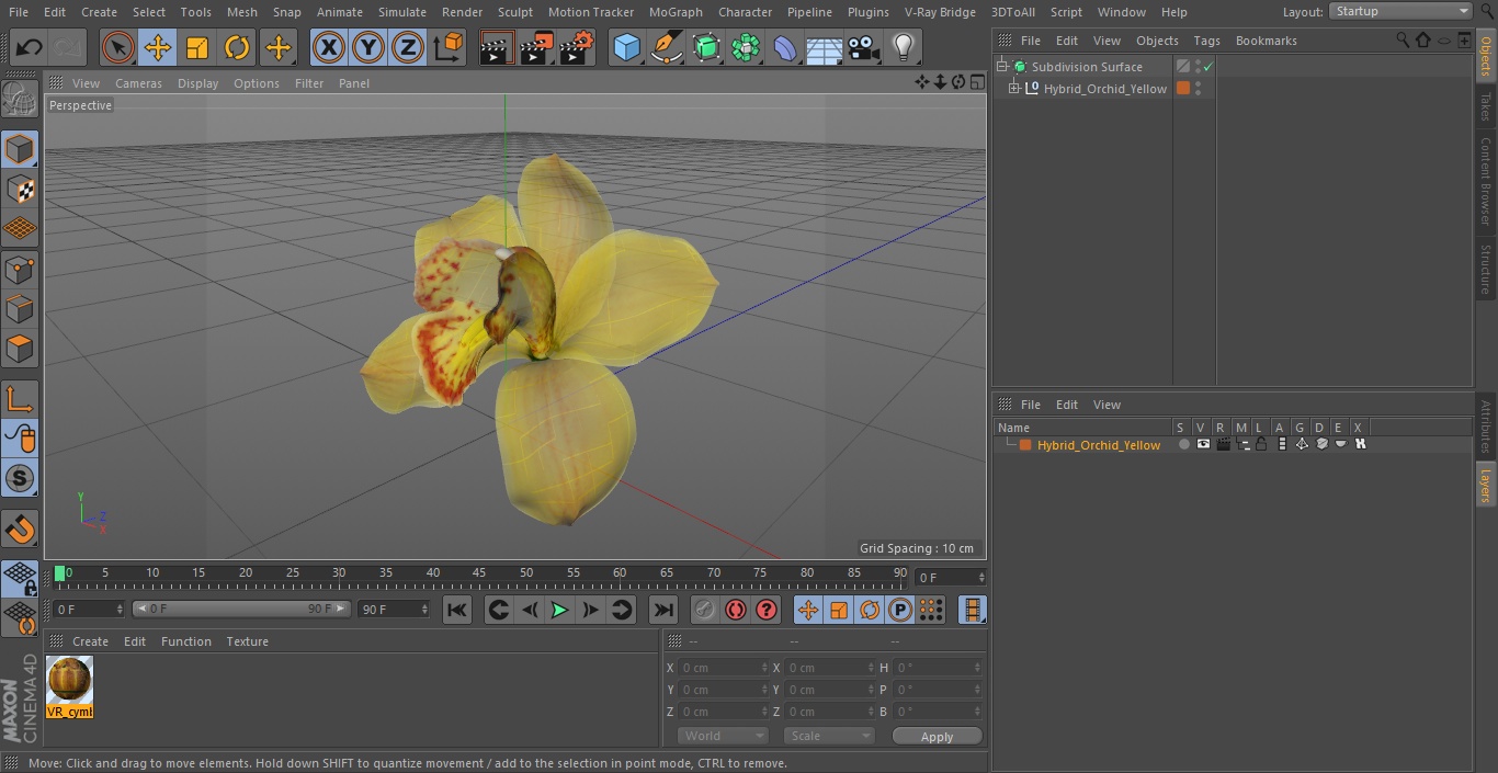 3D model Hybrid Orchid Yellow