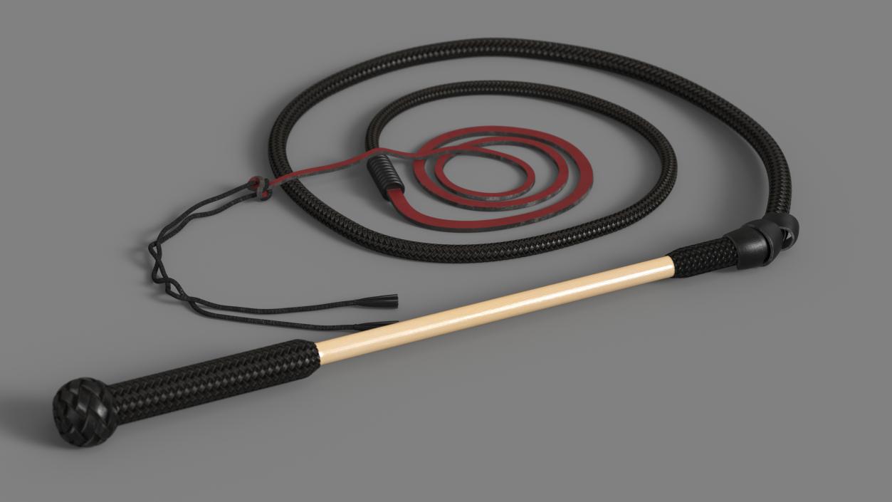 3D Historical Leather Whip Coiled Black