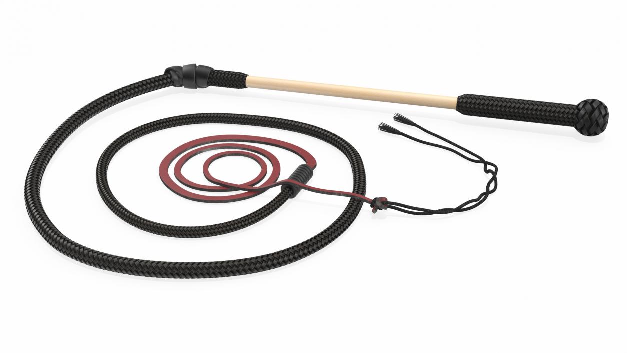 3D Historical Leather Whip Coiled Black