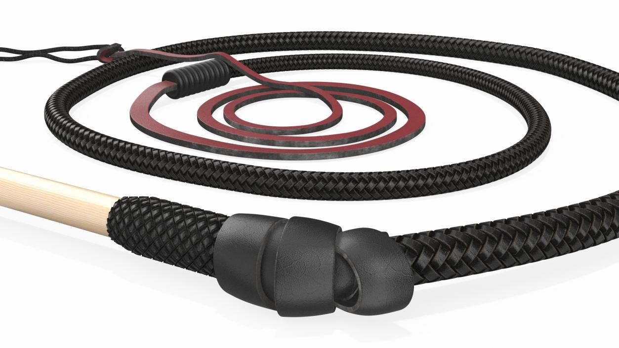 3D Historical Leather Whip Coiled Black