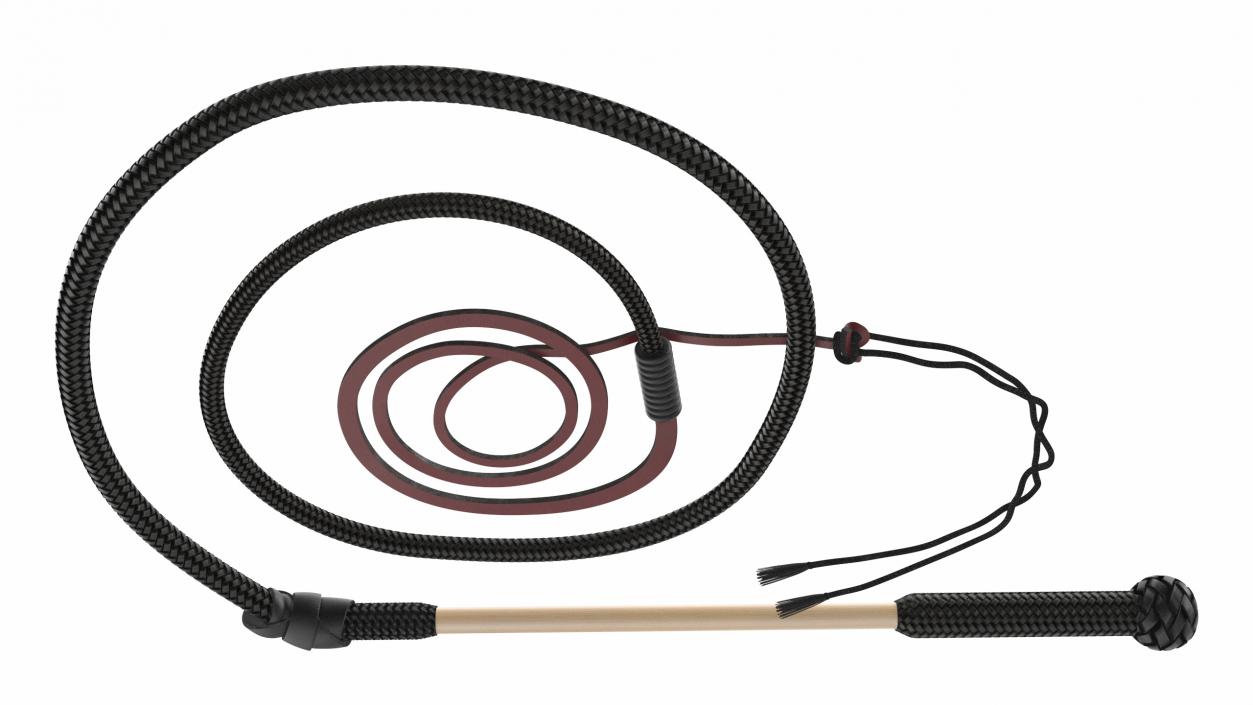 3D Historical Leather Whip Coiled Black