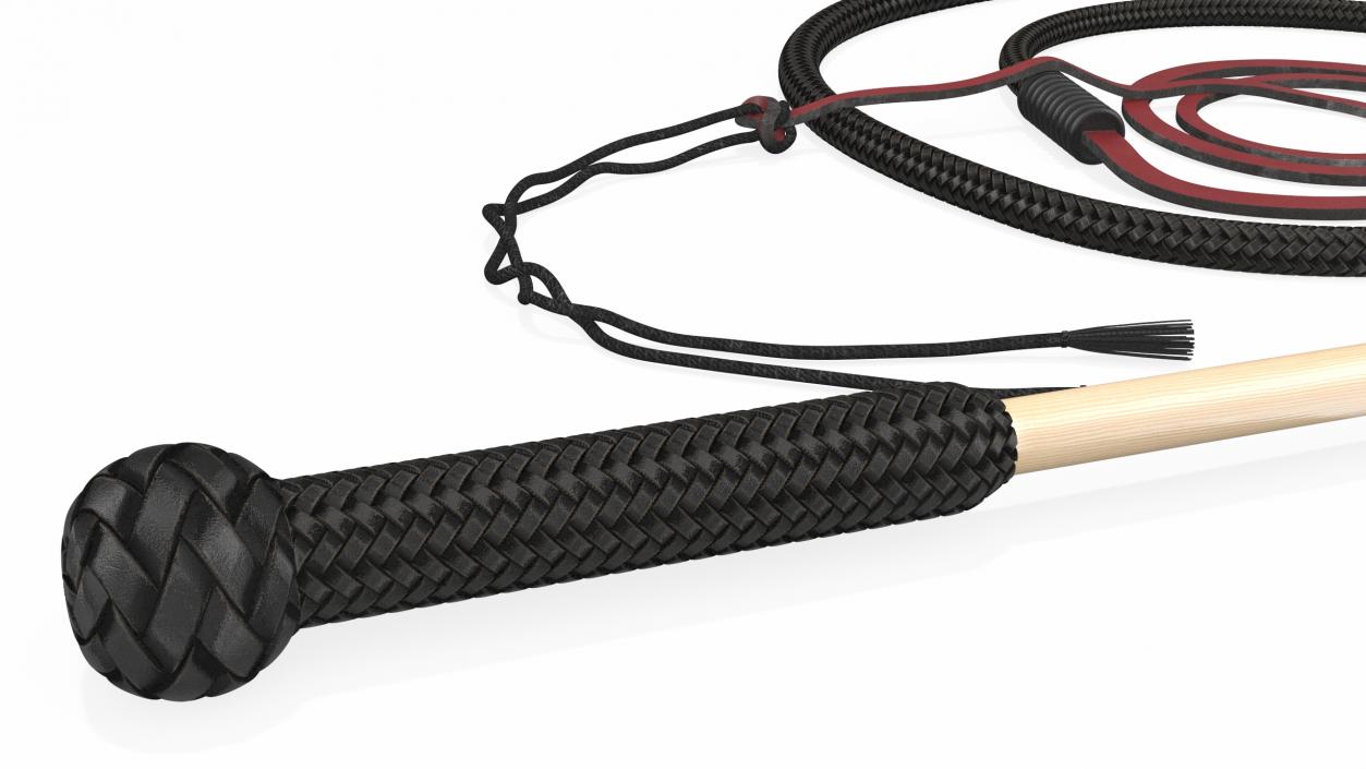 3D Historical Leather Whip Coiled Black