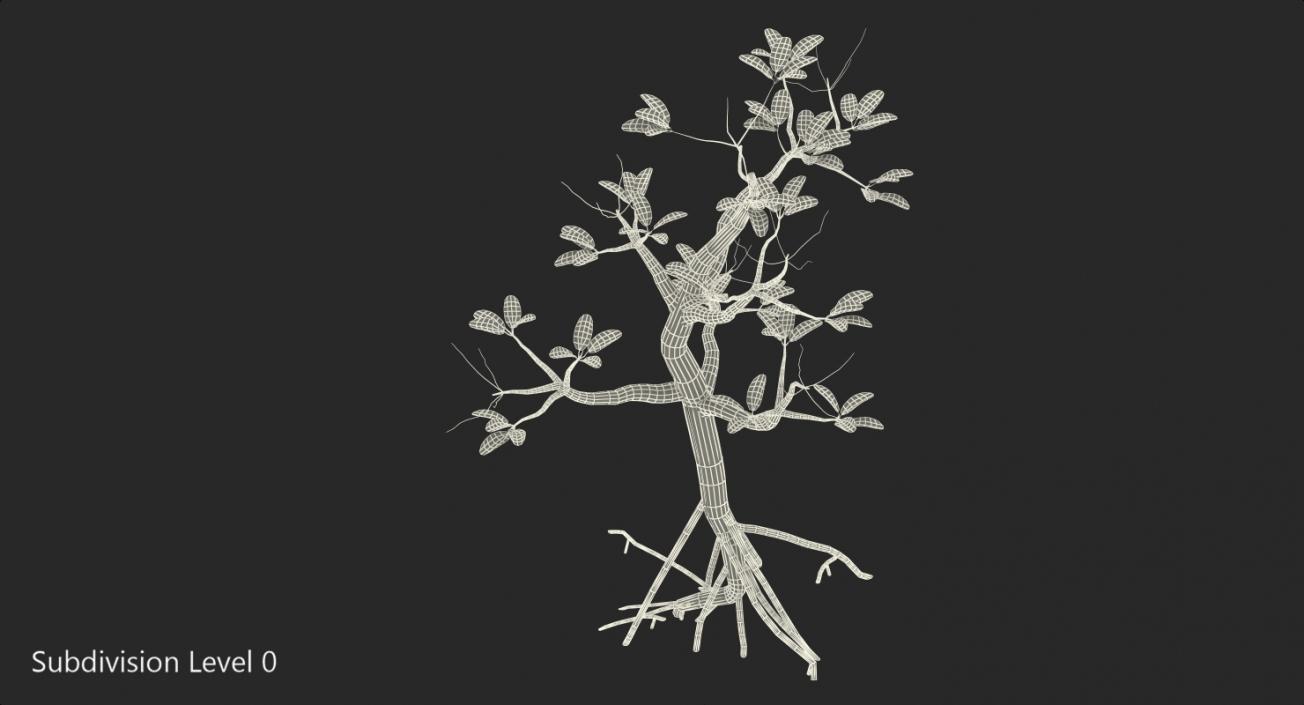 Mangrove Small Tree 3D model