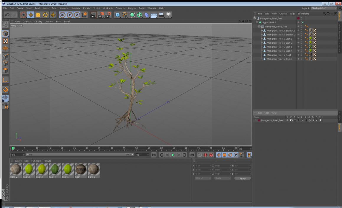 Mangrove Small Tree 3D model