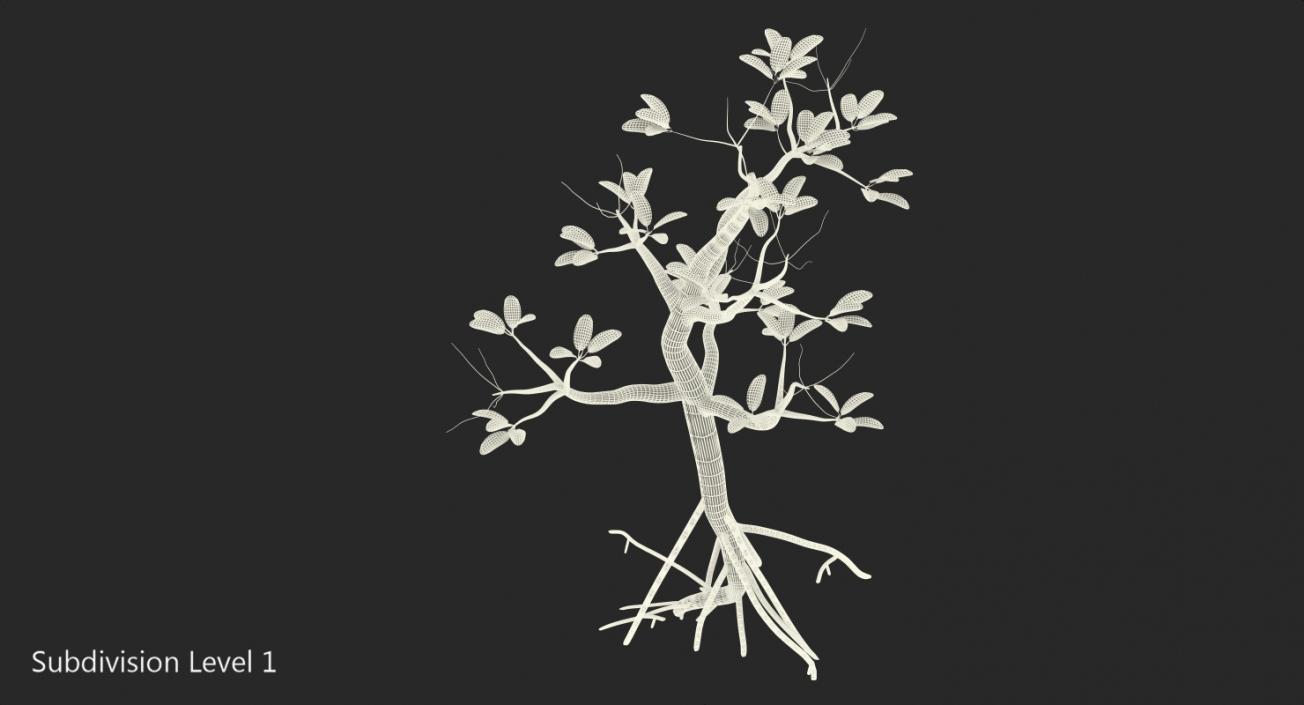 Mangrove Small Tree 3D model