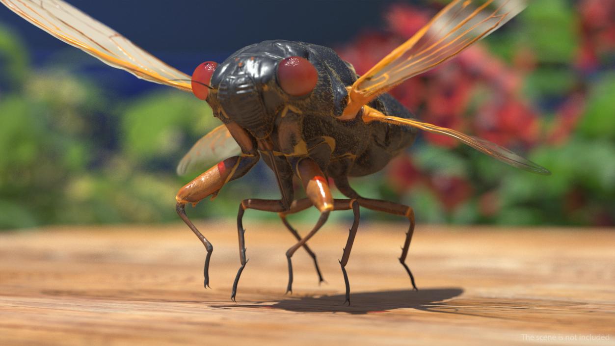 3D model Pharaoh Cicada Fur Rigged