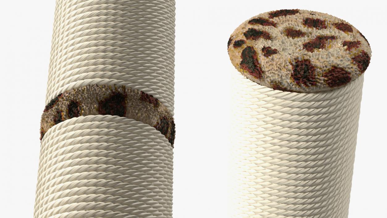 Cat Scratching Post Spot 3D model