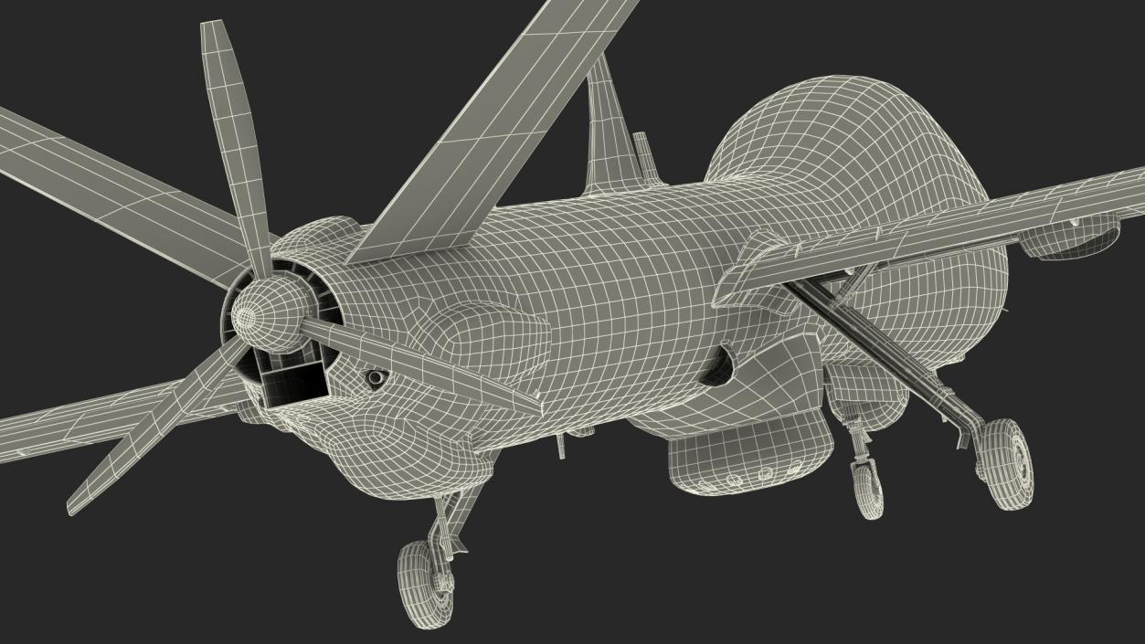 Elbit Hermes 900 UAV Rigged 3D