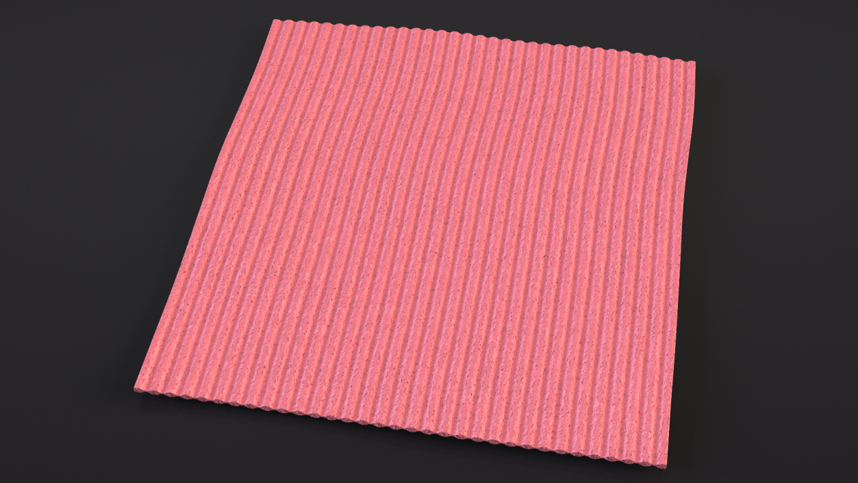 Kitchen Cloth Red 3D