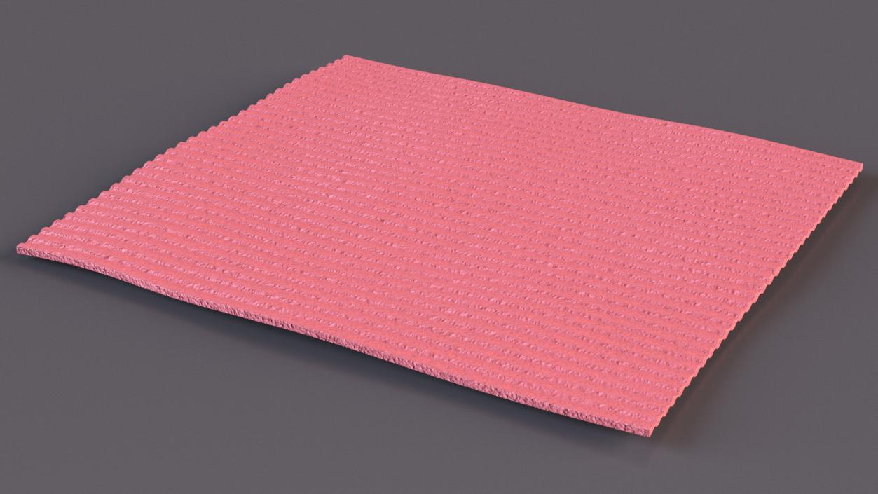 Kitchen Cloth Red 3D