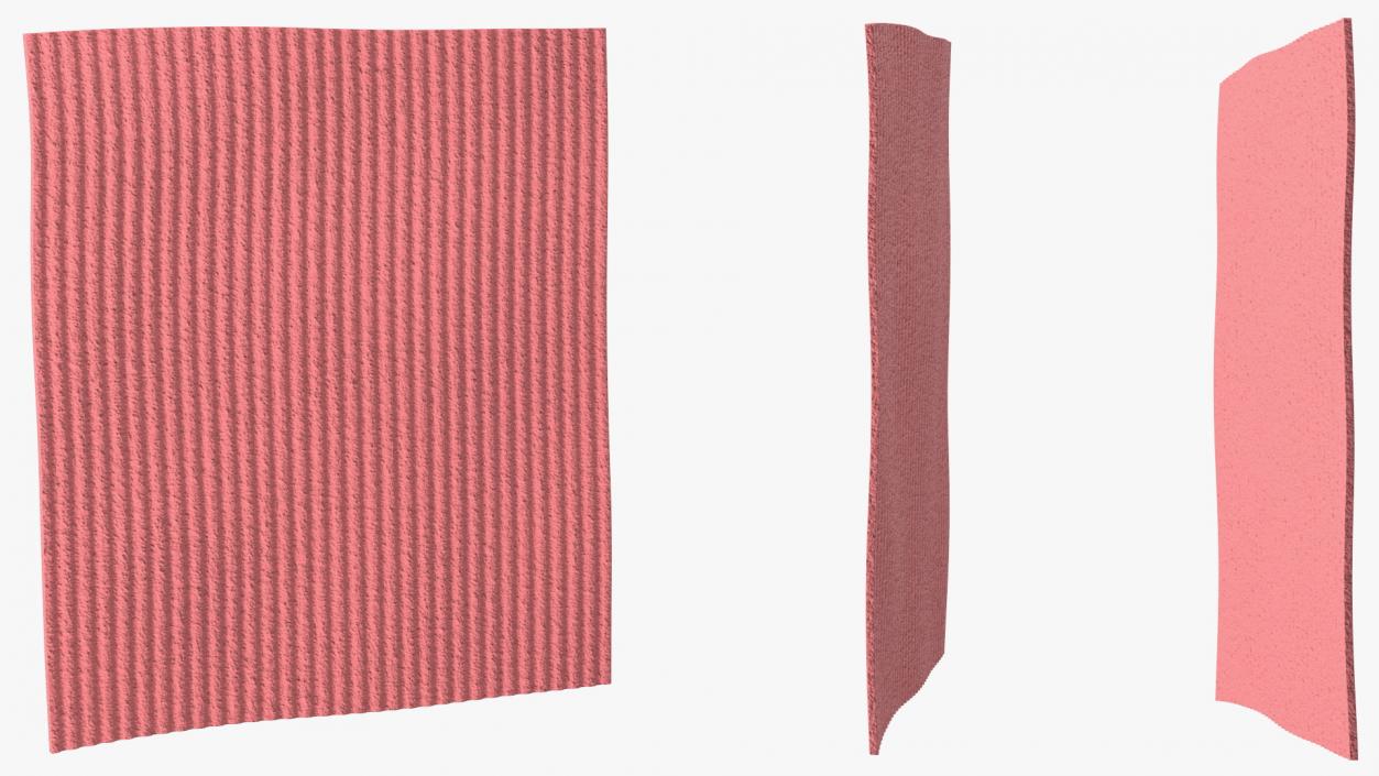 Kitchen Cloth Red 3D