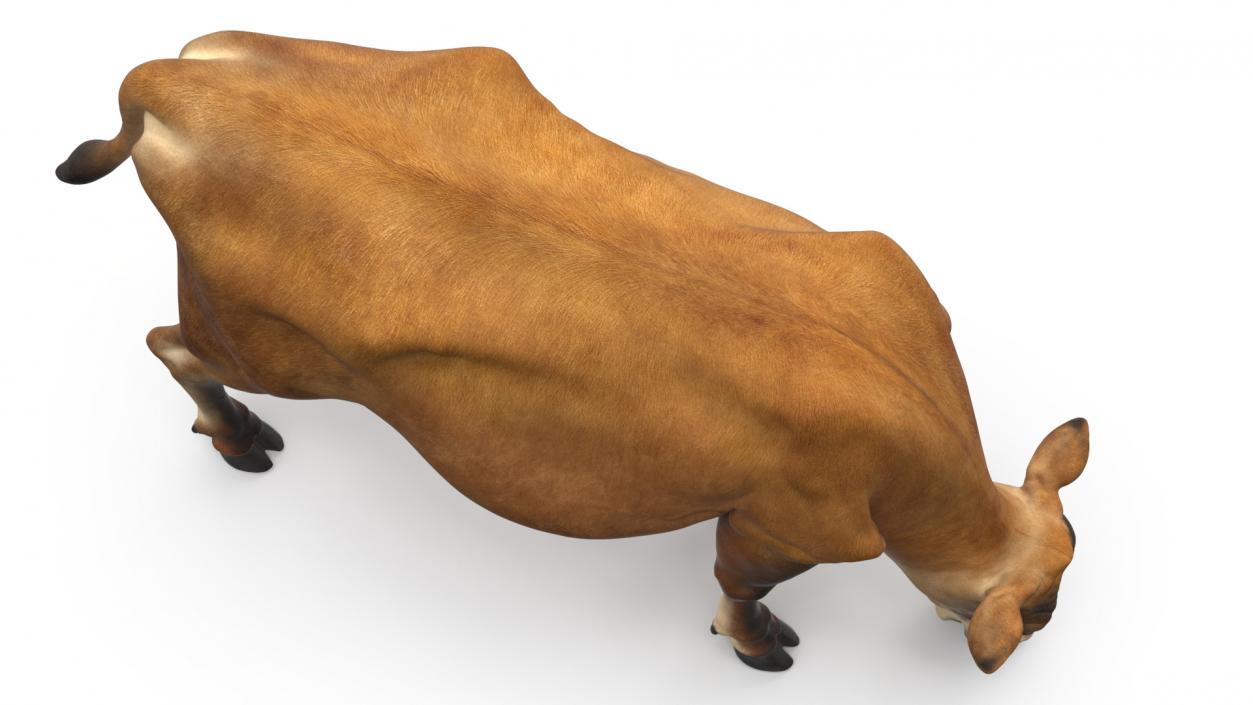 3D model Mini Cow Eating