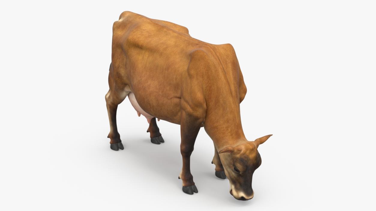 3D model Mini Cow Eating