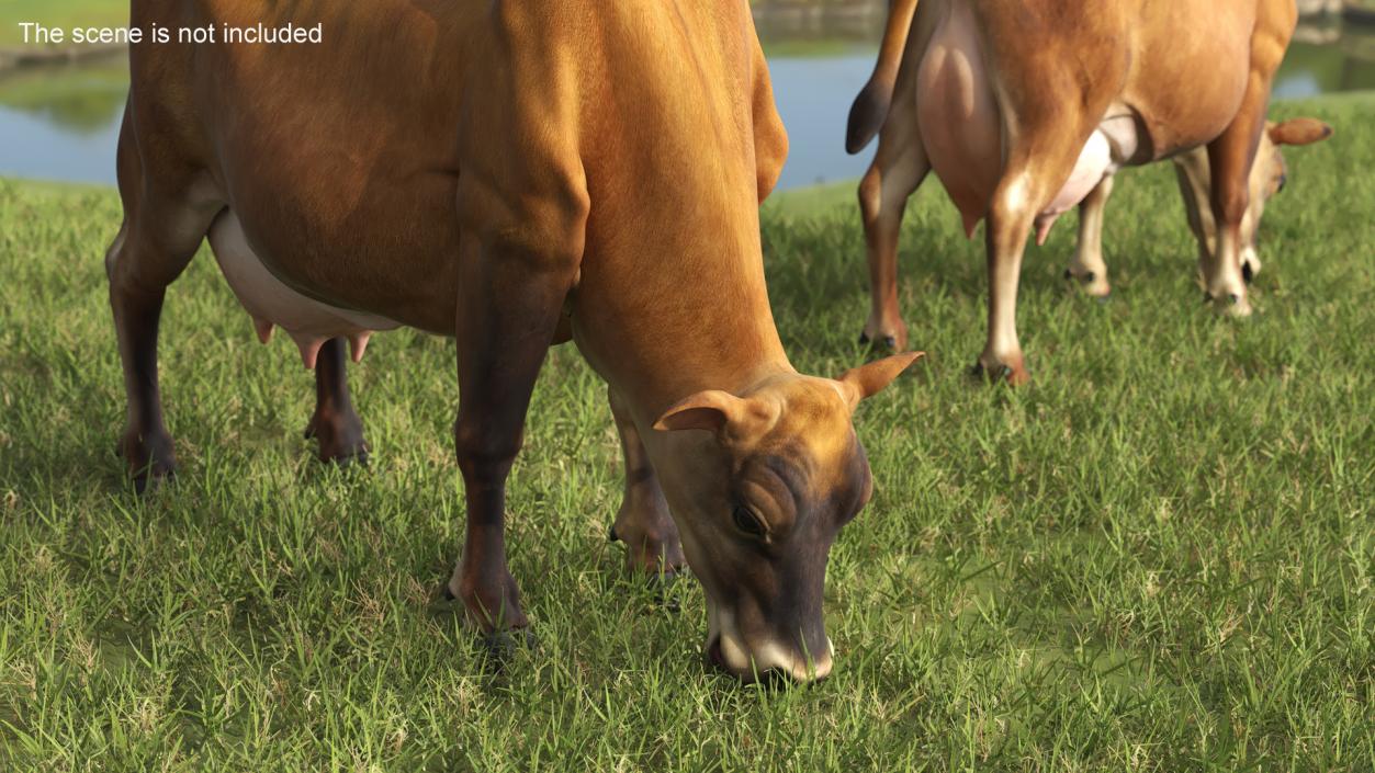 3D model Mini Cow Eating