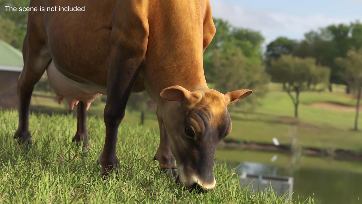 3D model Mini Cow Eating