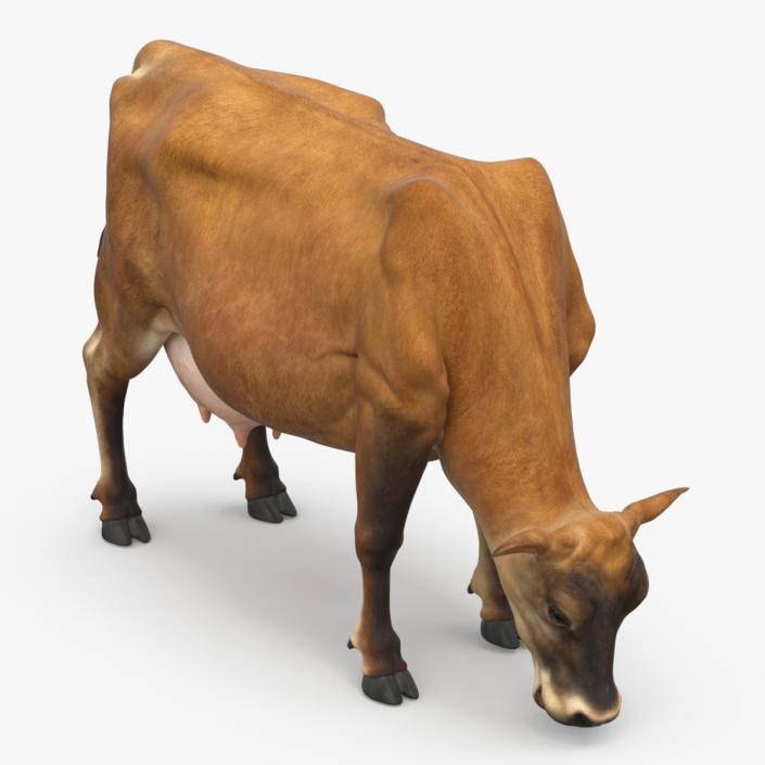 3D model Mini Cow Eating