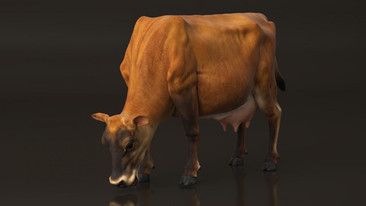 3D model Mini Cow Eating