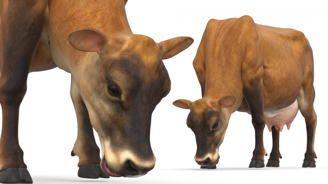 3D model Mini Cow Eating