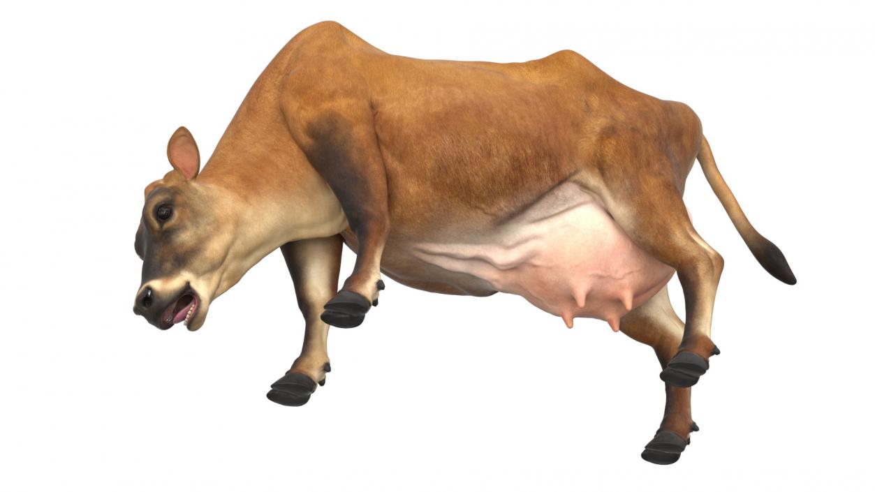 3D model Mini Cow Eating