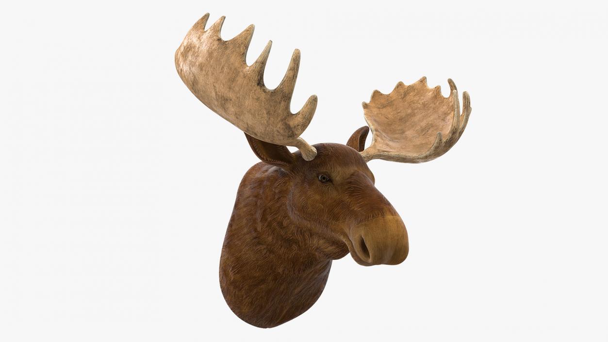 Moose Head Trophy 3D