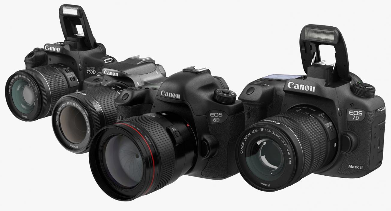 Canon Cameras Collection 3D model