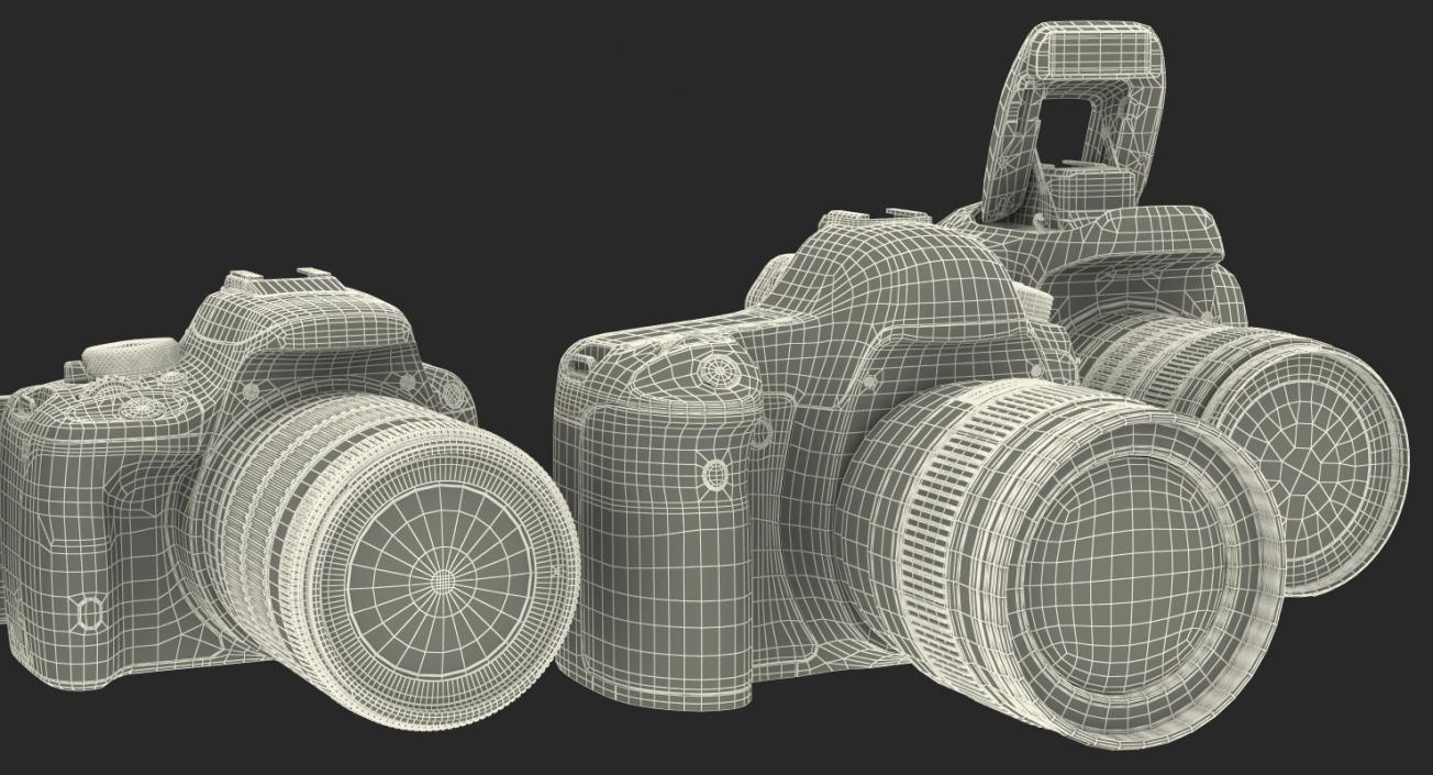 Canon Cameras Collection 3D model