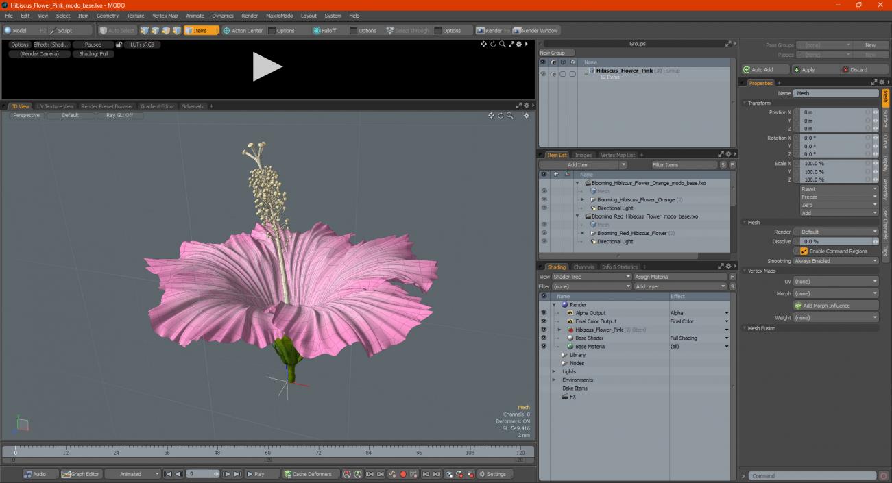 3D model Hibiscus Flower Pink