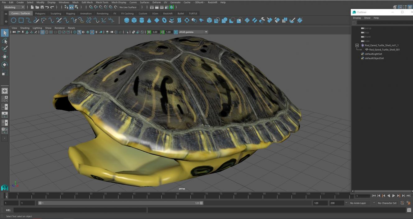 Red Eared Turtle Shell 3D