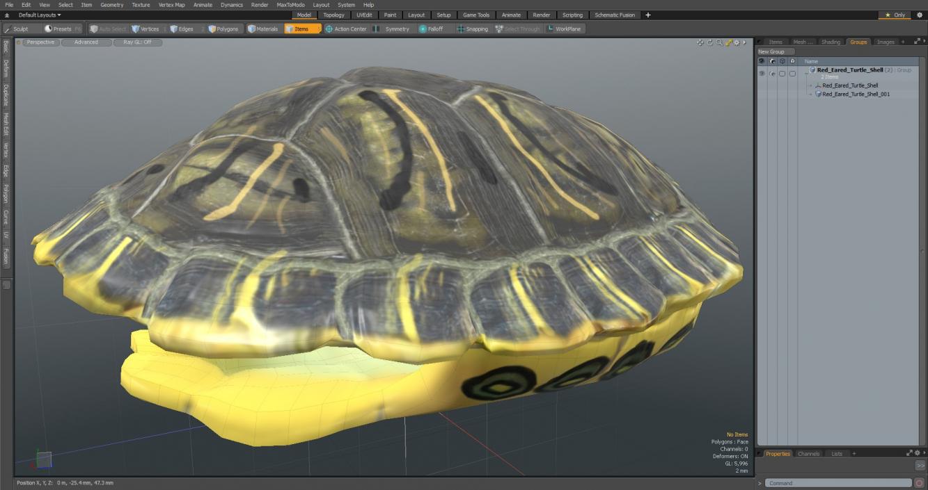 Red Eared Turtle Shell 3D