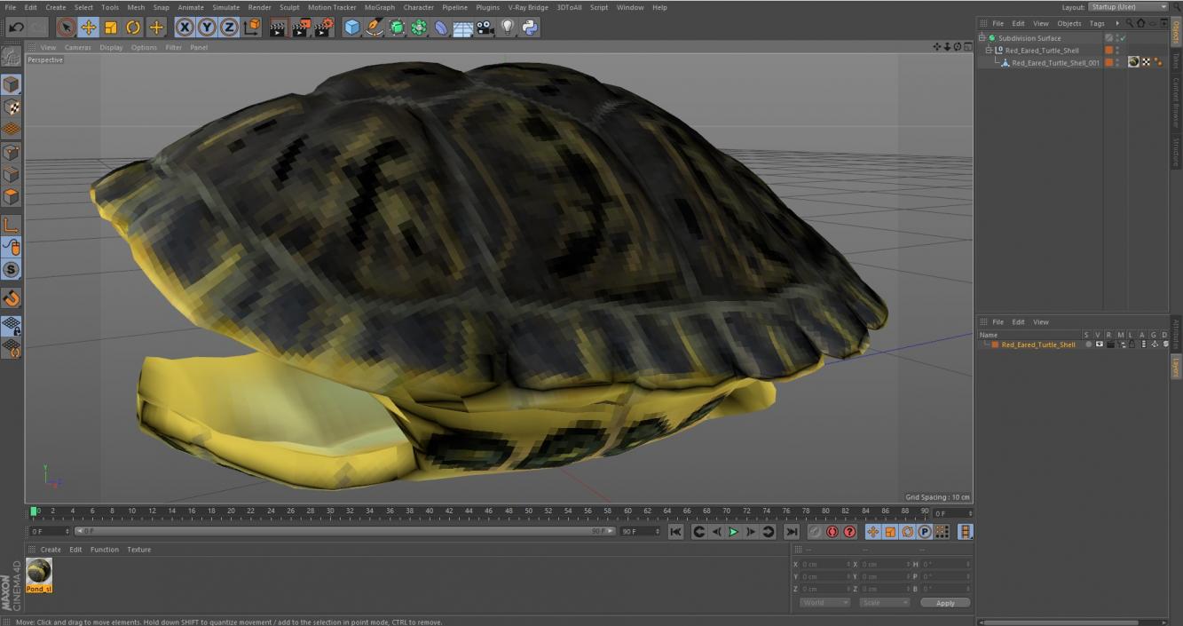 Red Eared Turtle Shell 3D