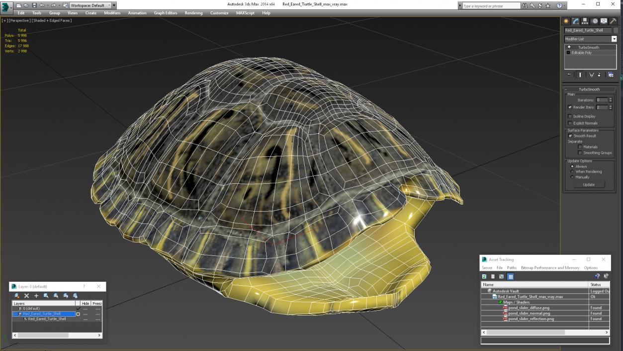 Red Eared Turtle Shell 3D