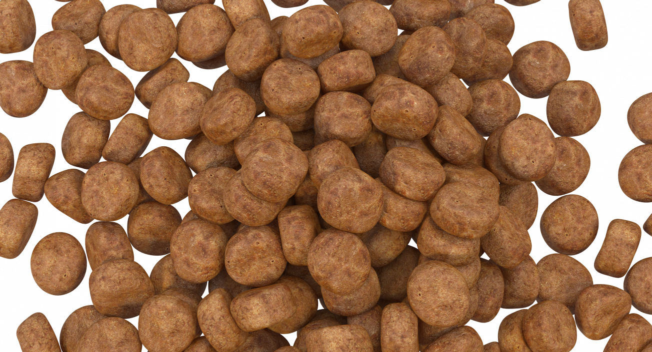 Dry Dog Food 3D