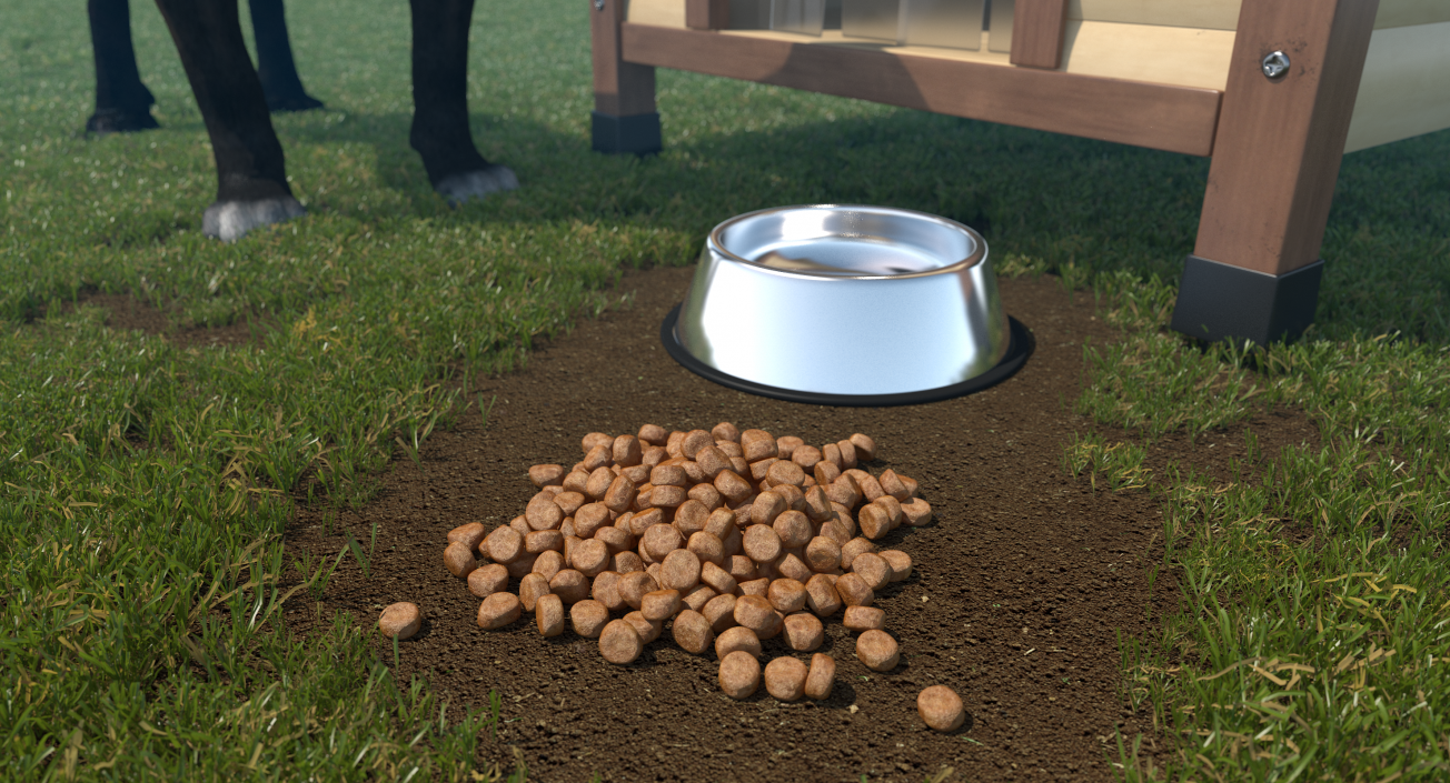 Dry Dog Food 3D