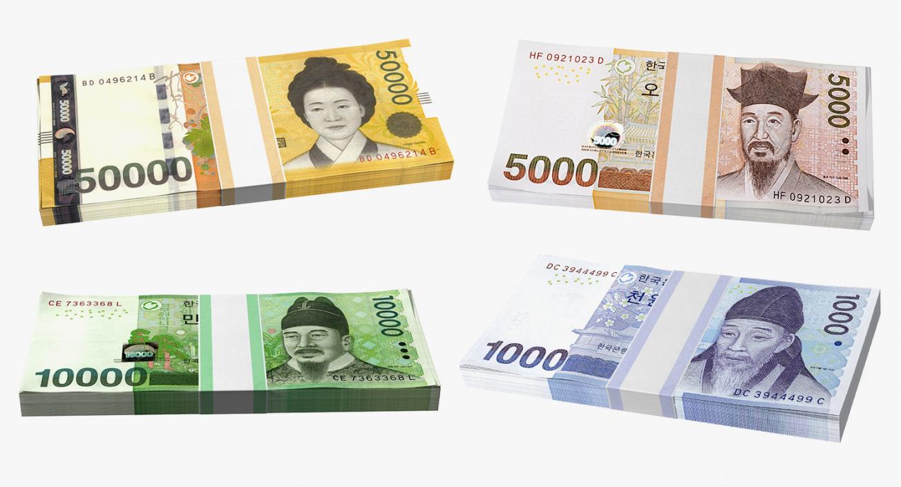 South Korean Banknote Bundles Collection 2 3D