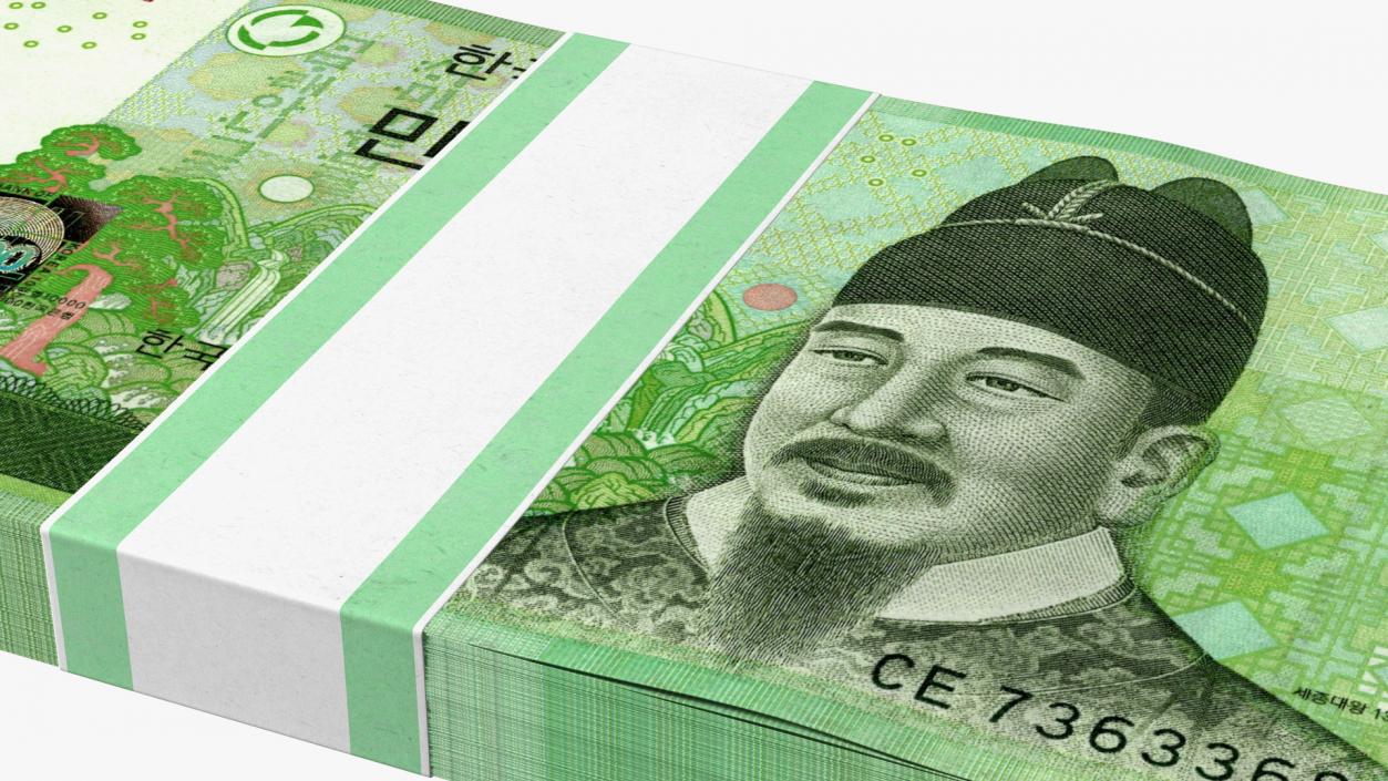 South Korean Banknote Bundles Collection 2 3D