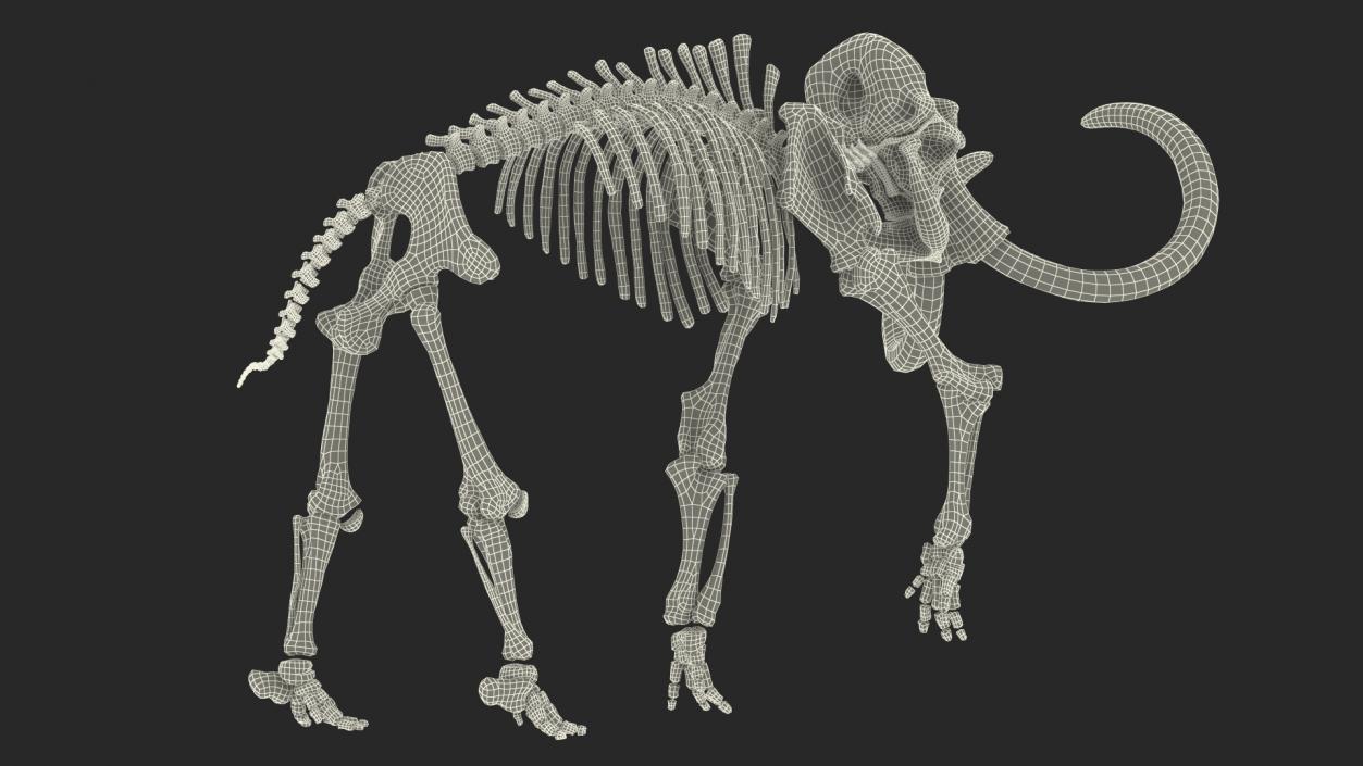 3D Mammoth Skeleton Clean Bones Walking Pose