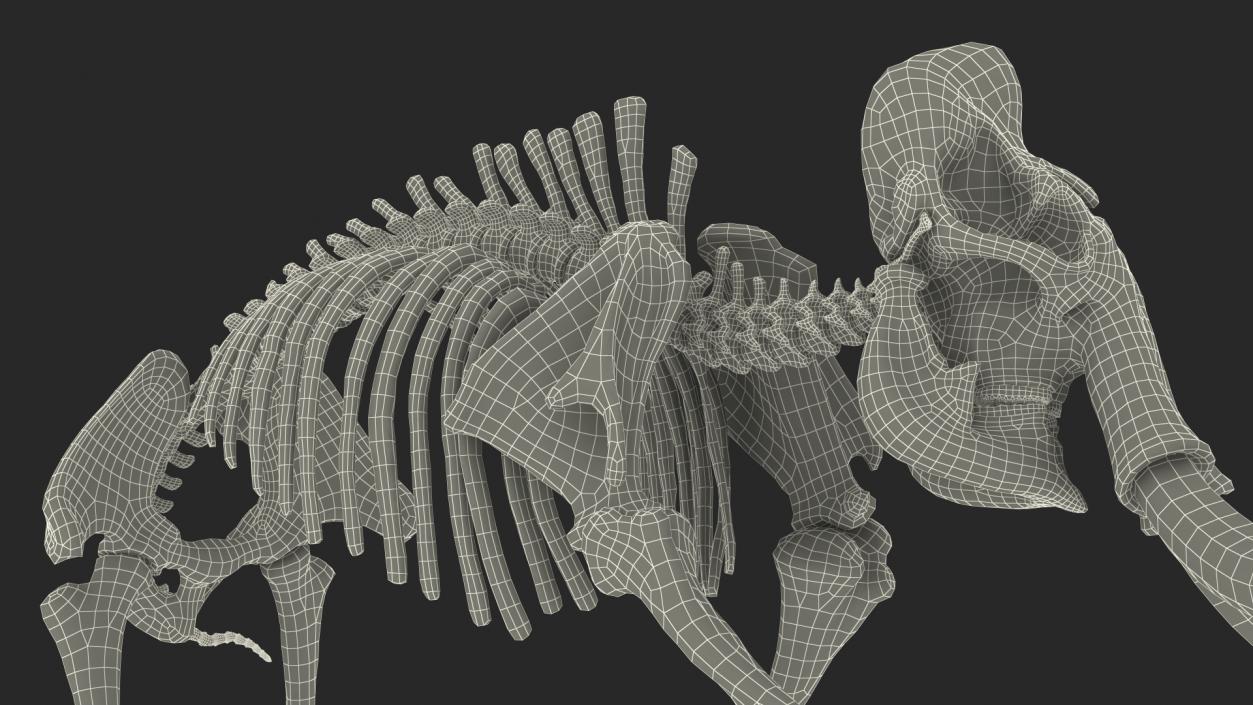 3D Mammoth Skeleton Clean Bones Walking Pose