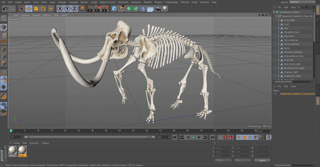 3D Mammoth Skeleton Clean Bones Walking Pose