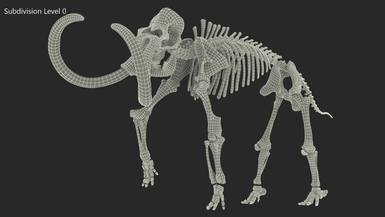 3D Mammoth Skeleton Clean Bones Walking Pose