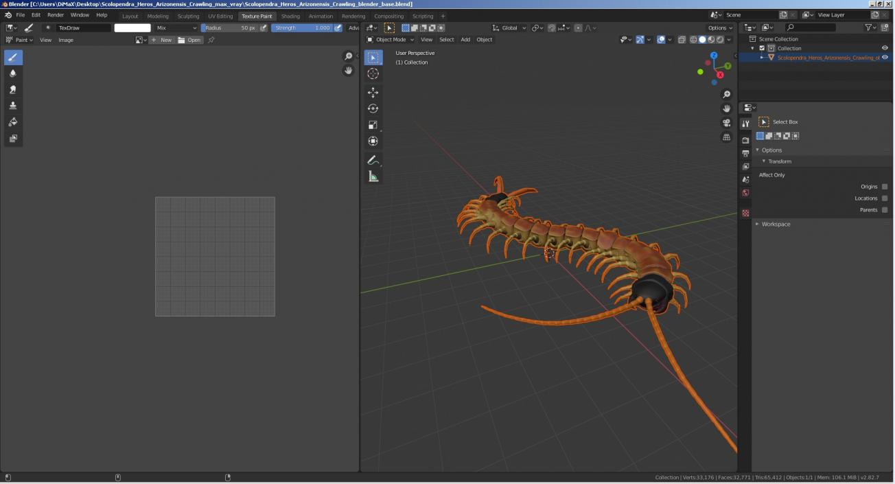 3D Scolopendra Heros Arizonensis Crawling model