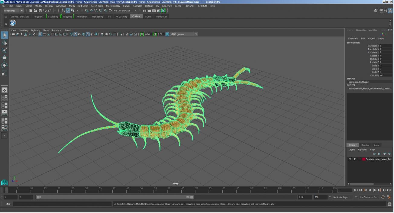 3D Scolopendra Heros Arizonensis Crawling model