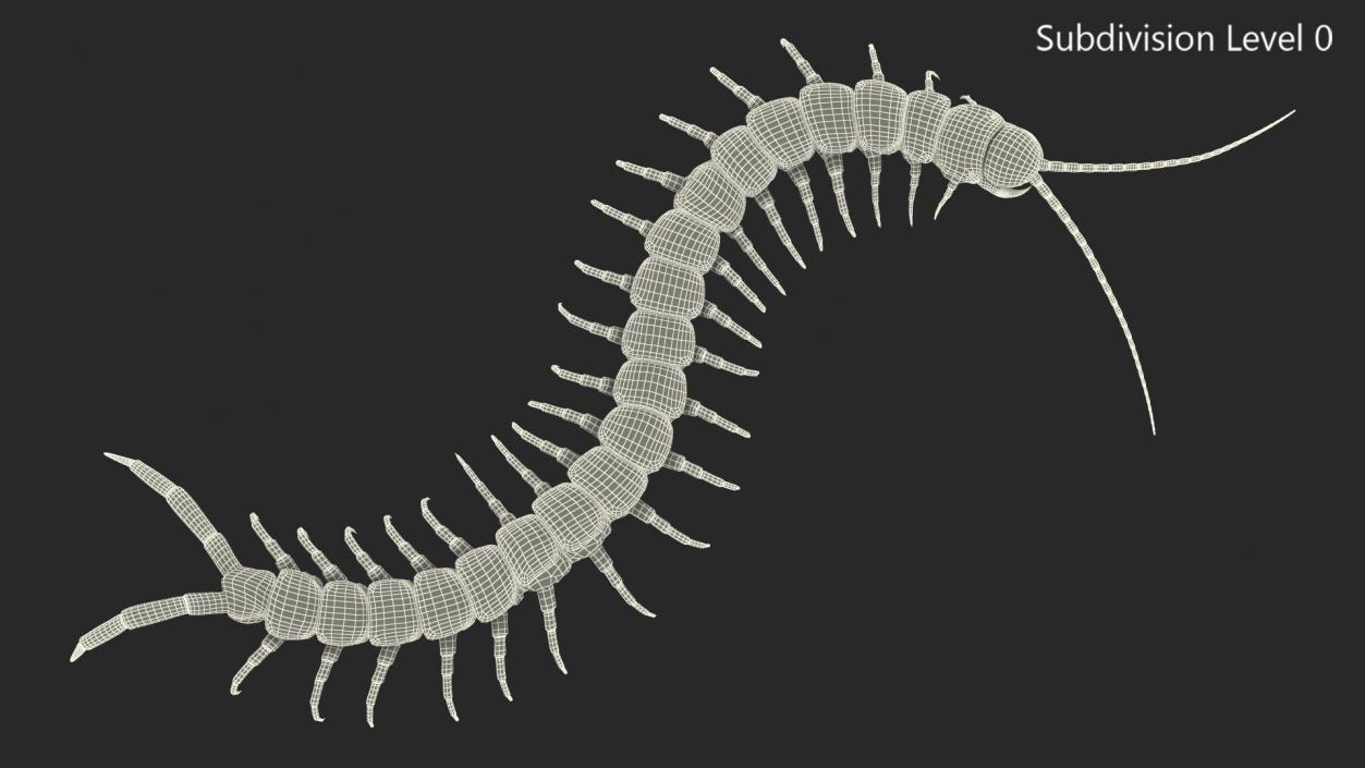 3D Scolopendra Heros Arizonensis Crawling model