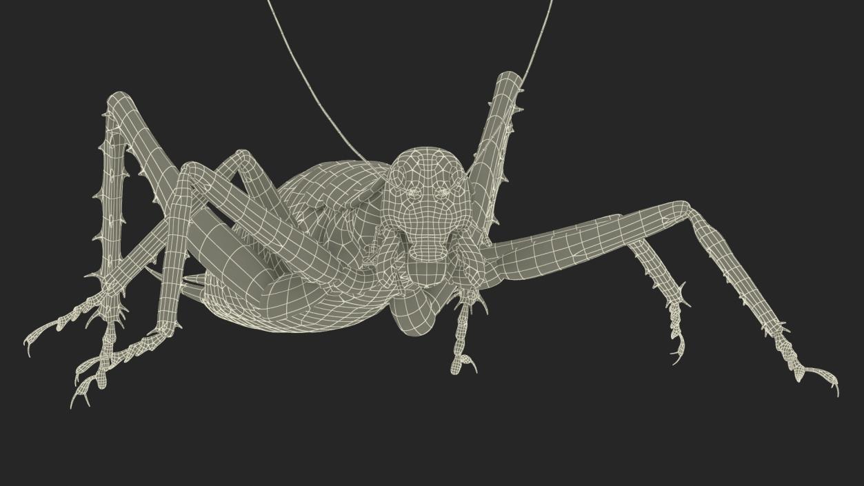 Giant Weta Rigged 3D