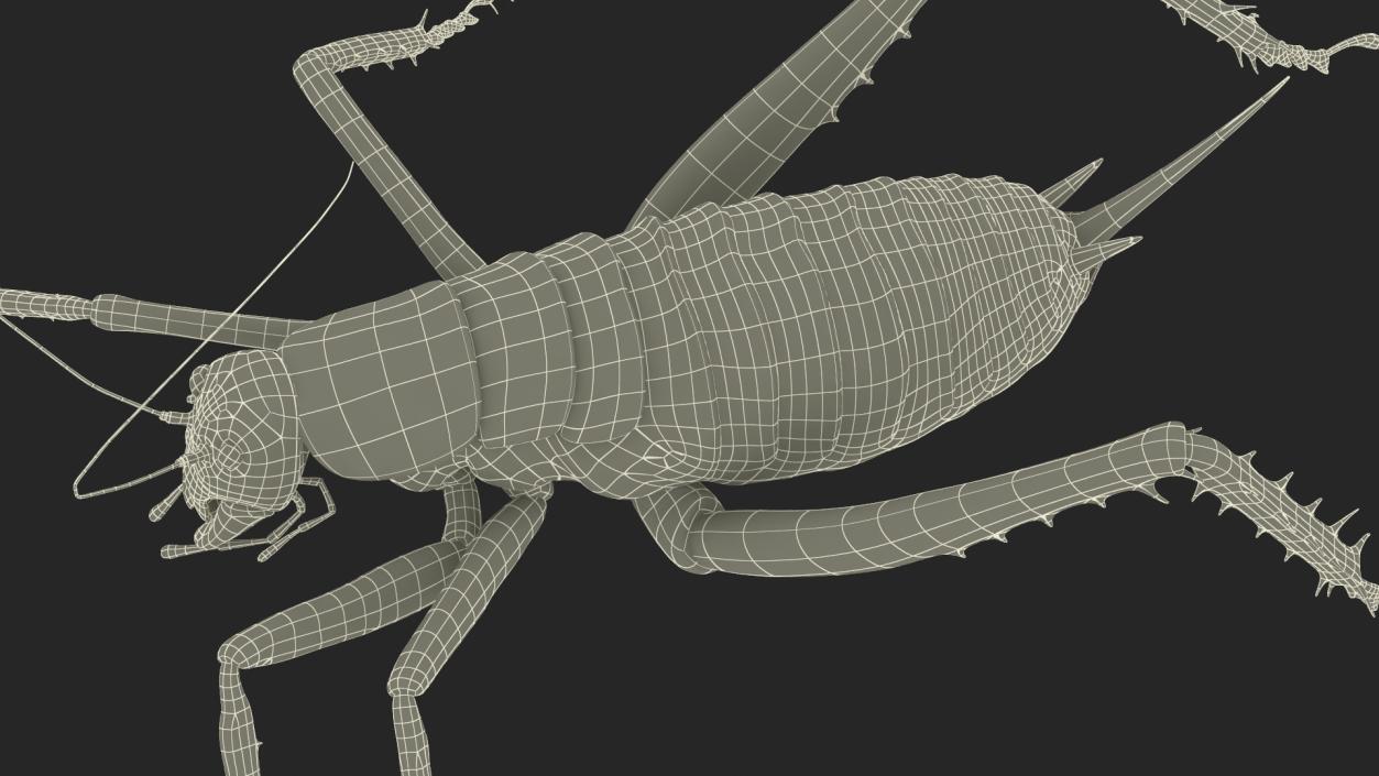 Giant Weta Rigged 3D